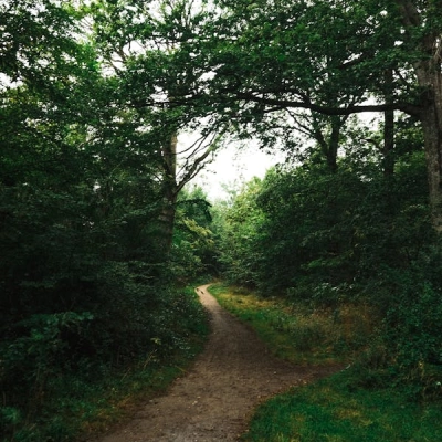 Lorem Ipsum has been the industry's (1)